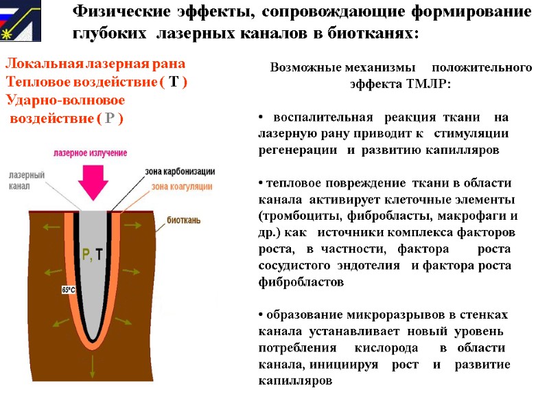 Физические эффекты, сопровождающие формирование глубоких  лазерных каналов в биотканях:    